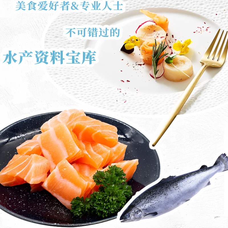해산물 요리책 DK 300, 세계적인 해산물 요리 레시 - Home Cooking Recipes 리뷰 및 가격
